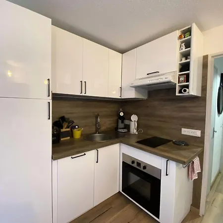Apartment Apheratz - Magnifique Cosy Sur Les Hauteurs De La Station Des Deux Alpes Mae-3771